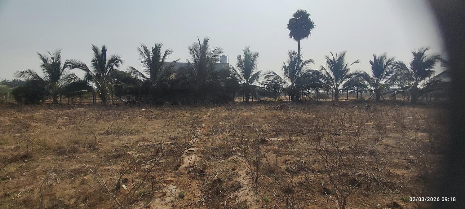 Farm Land for Sale – Prime Location Near Trichy to Dindigul Highway